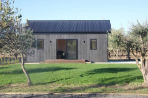 Olive Grove Cabin Waipara, Waipara
